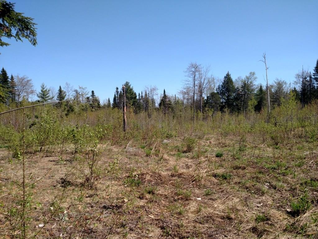 0 Howland Road Lagrange, ME 04453 - Photo 3 of 8 Photo