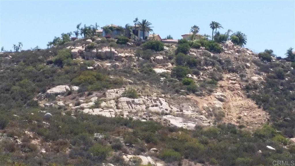 15425 Westview Road Poway, CA 92064 - Photo 15 of 24 a view of a tree in a field