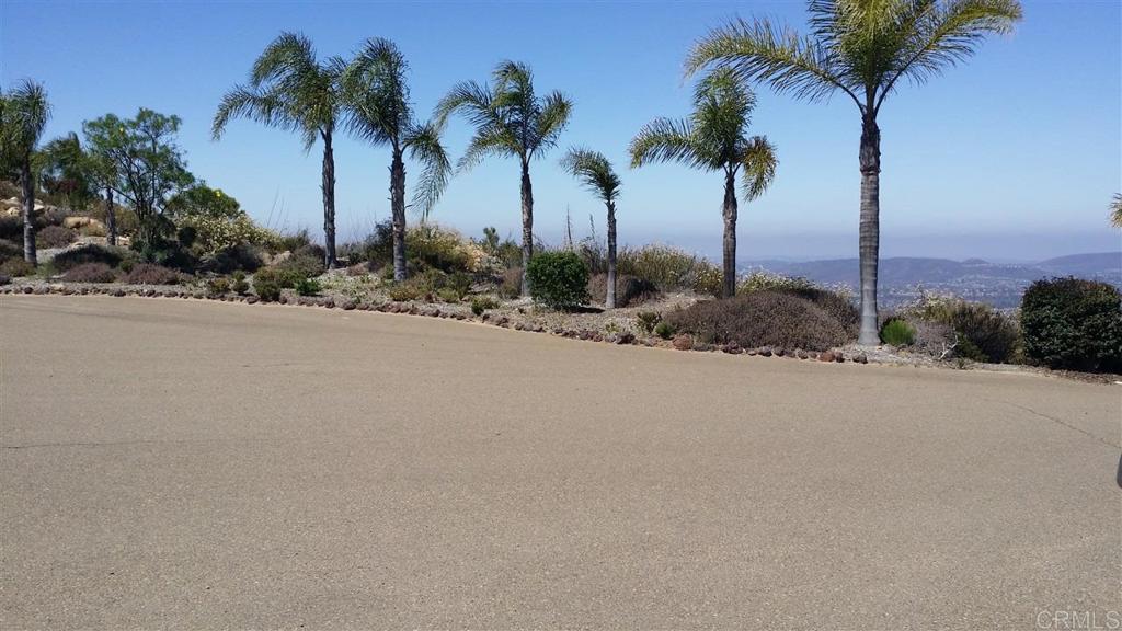 15425 Westview Road Poway, CA 92064 - Photo 21 of 24 a palm trees on a beach with a ocean view