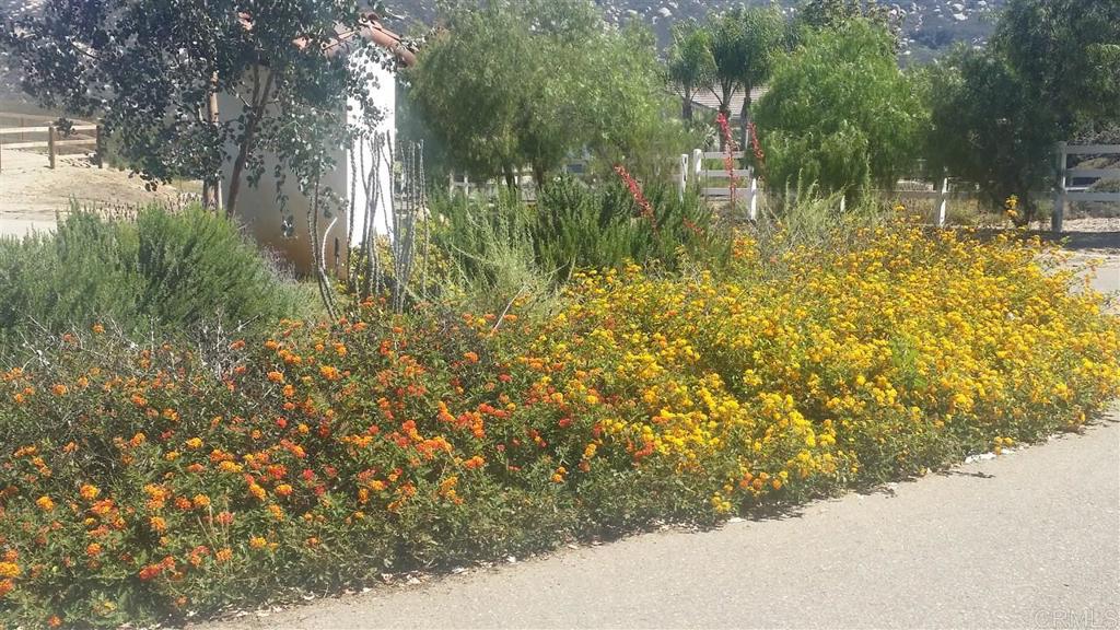 15425 Westview Road Poway, CA 92064 - Photo 4 of 24 a view of a yard with plants