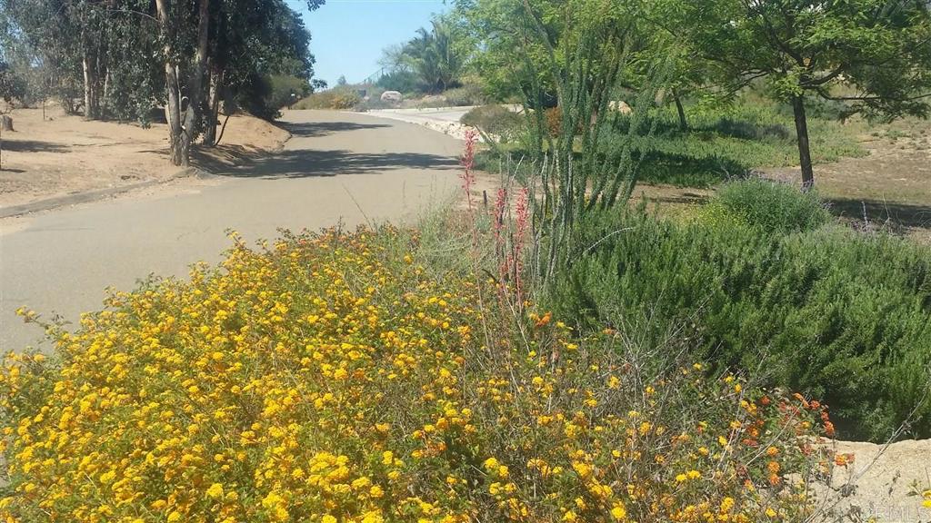 15425 Westview Road Poway, CA 92064 - Photo 5 of 24 a view of a lake with a yard