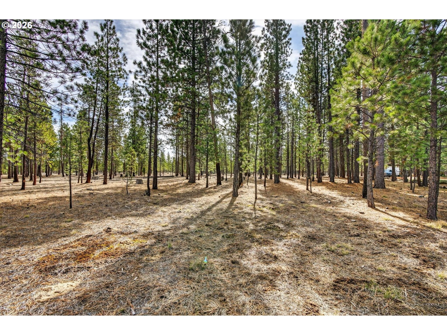 Pannier Court La Pine, OR 97739 - Photo 7 of 21 View