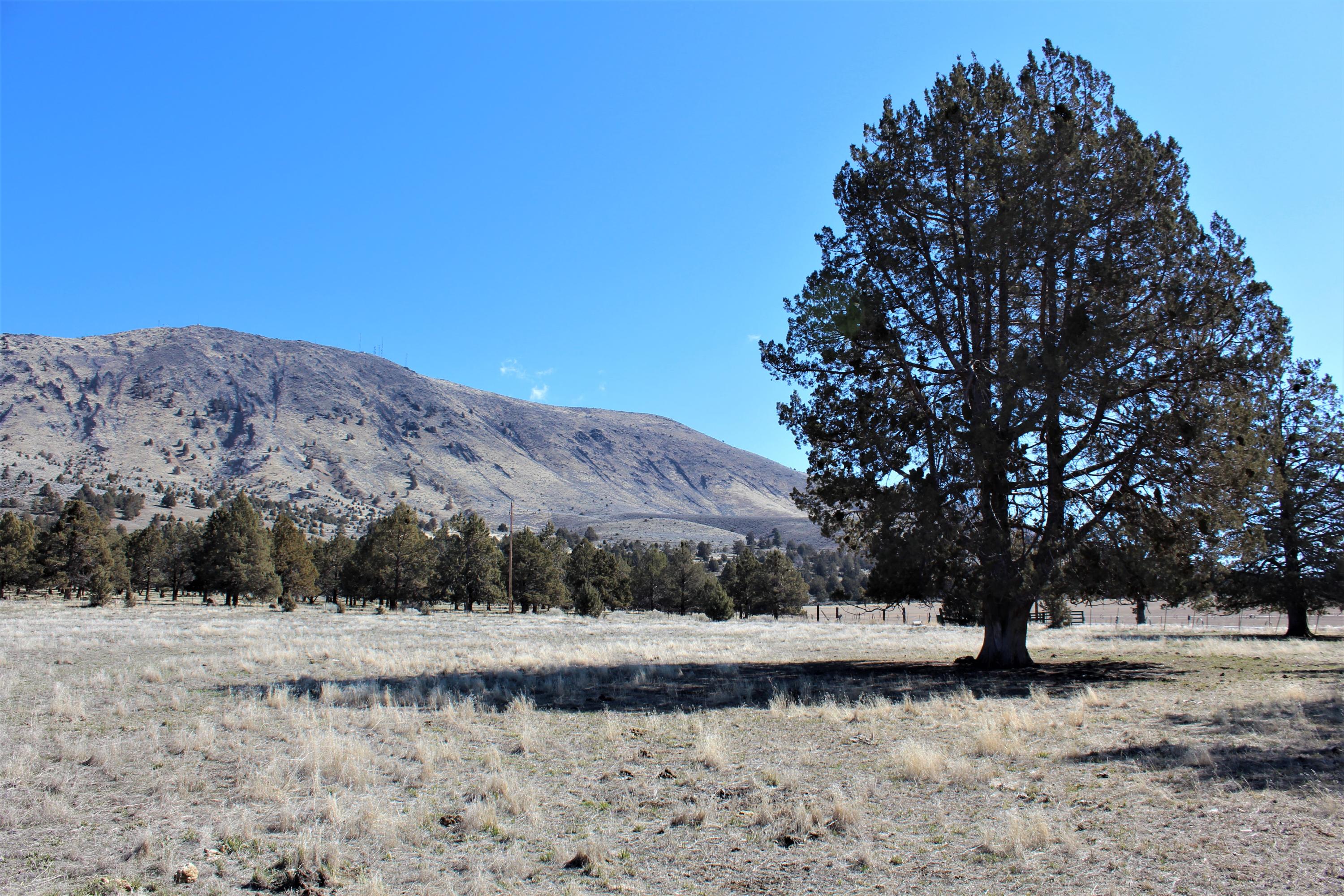 0 Hill Road Klamath Falls, OR 97603 - Photo 29 of 30 IMG_3625