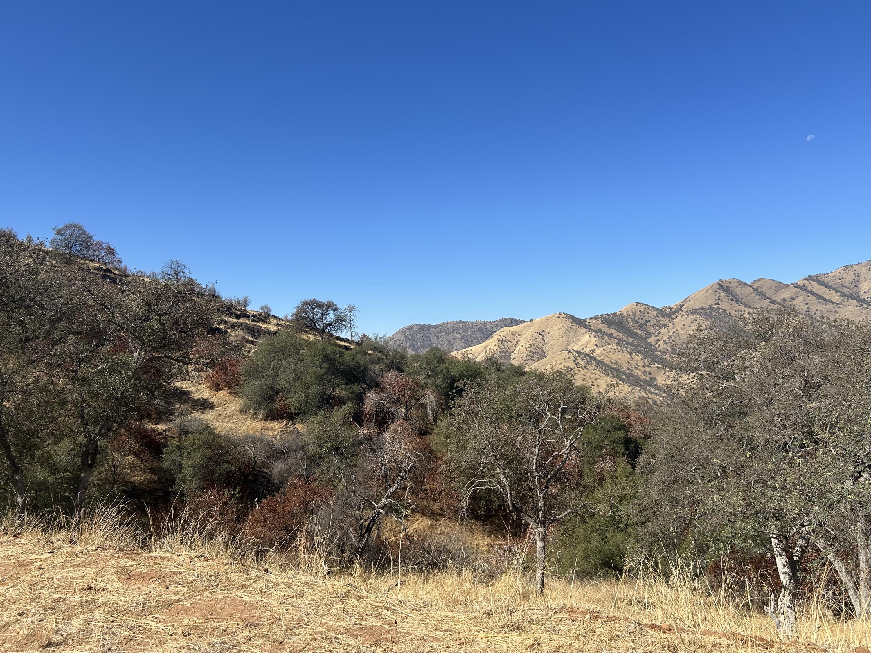 42367 Corral Drive Three Rivers, CA 93271 - Photo 17 of 27 IMG_3261