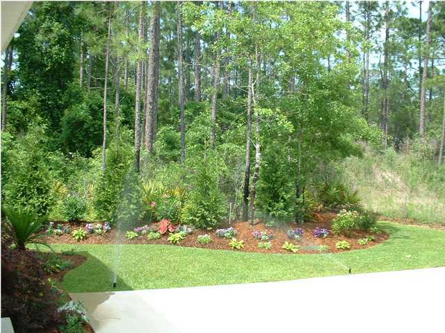 119 North 3rd Street Santa Rosa Beach, FL 32459 - Photo 3 of 18 a view of a backyard with plants and large trees