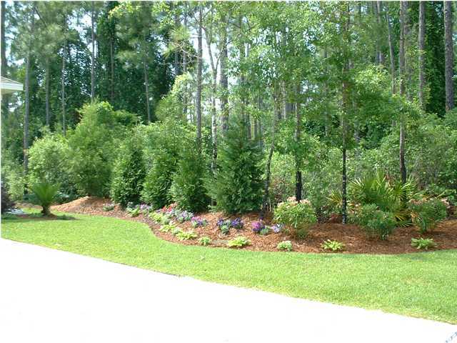 119 North 3rd Street Santa Rosa Beach, FL 32459 - Photo 4 of 18 a view of a backyard with tall trees