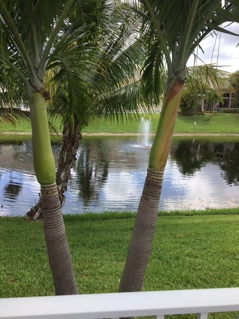 7877 Travelers Tree Drive Boca Raton, FL 33433 - Photo 13 of 15 lake view