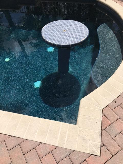 7877 Travelers Tree Drive Boca Raton, FL 33433 - Photo 14 of 15 Pool bar