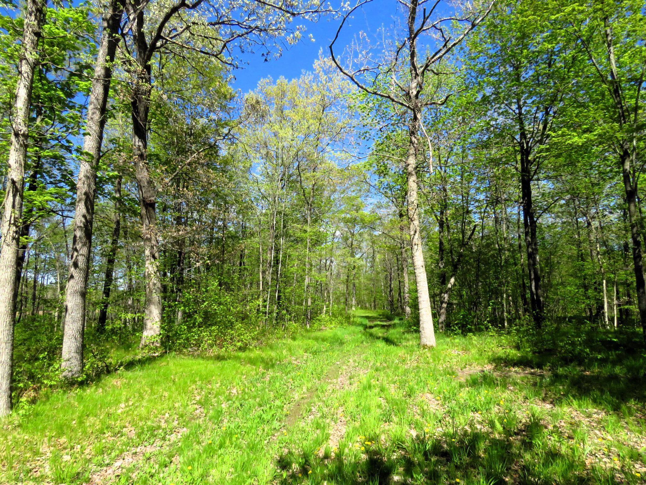 Xxx Xxx Herrick Road Frederic, WI 54837 - Photo 13 of 21