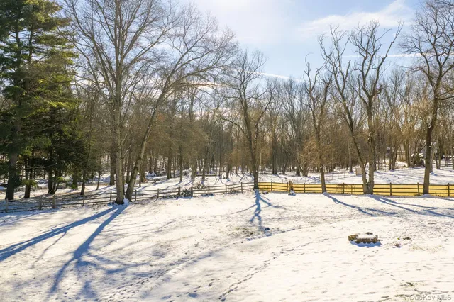 a view of a yard with trees