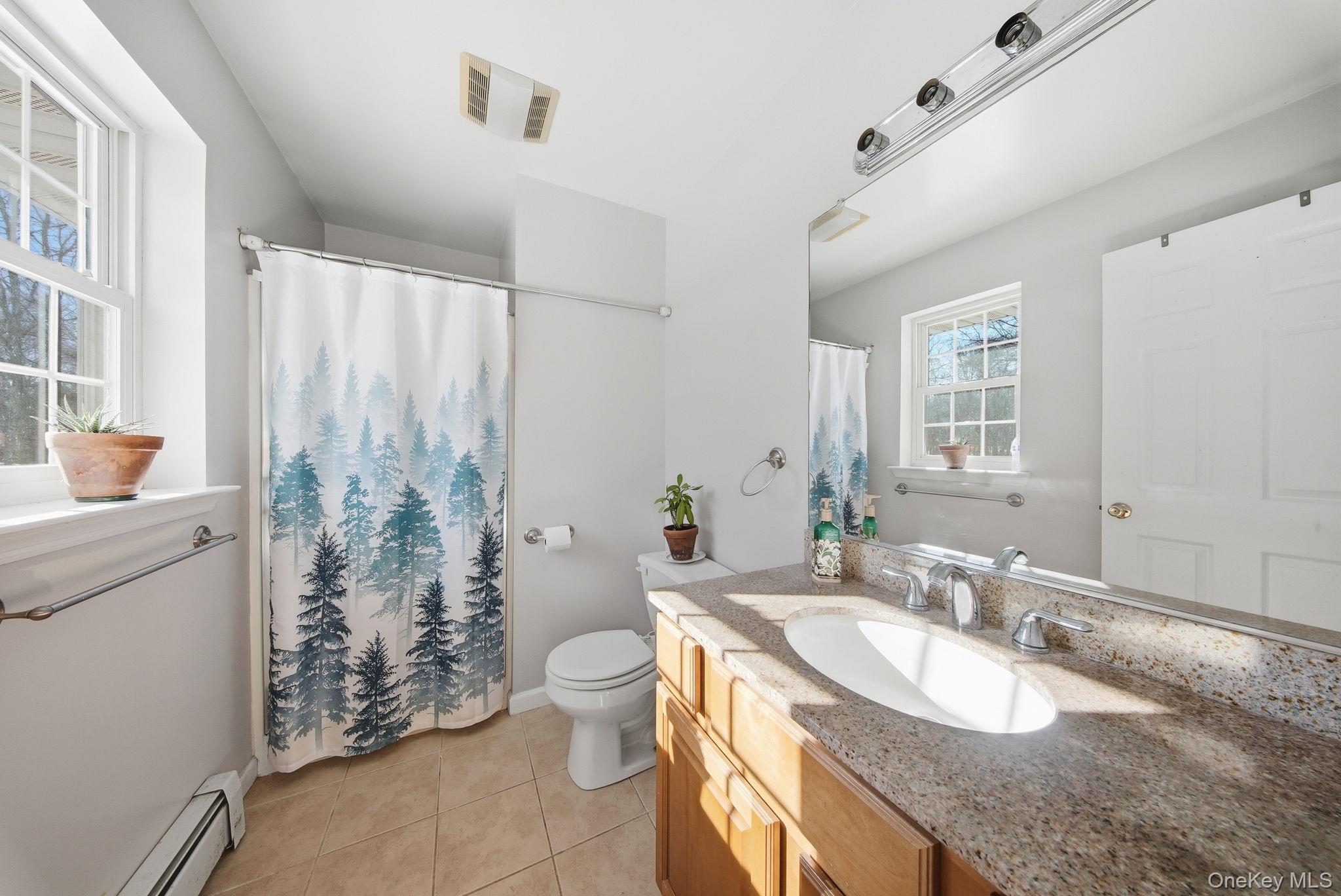 100 Maybrook Road Campbell Hall, NY 10916 - Photo 9 of 32 a bathroom with a granite countertop sink toilet and shower