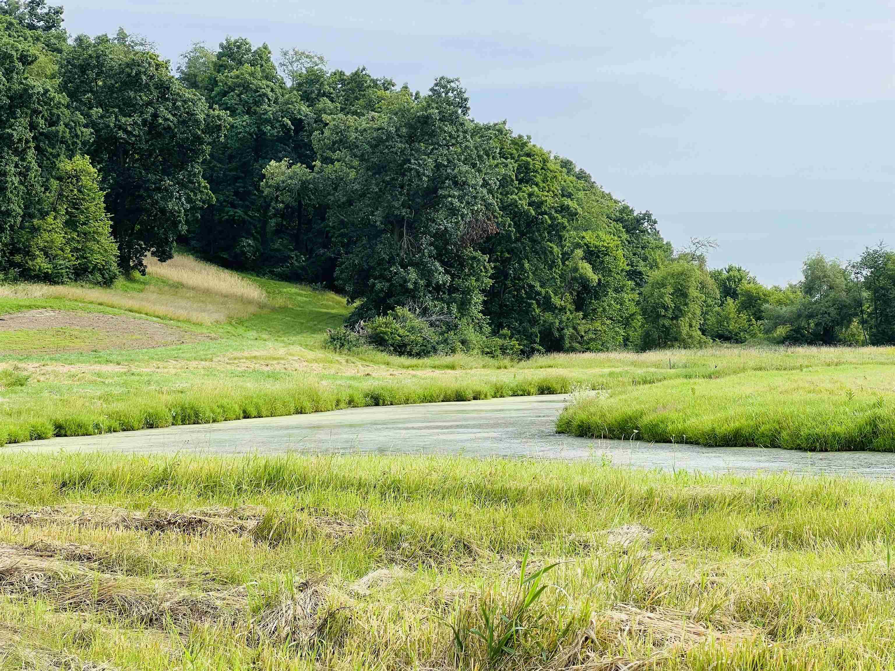 16025 Il Rt 78 Mount Mount Carroll, IL 61053 - Photo 12 of 20