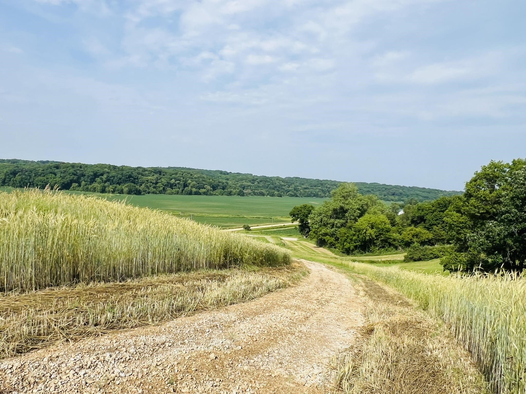 16025 Il Rt 78 Mount Mount Carroll, IL 61053 - Photo 7 of 20