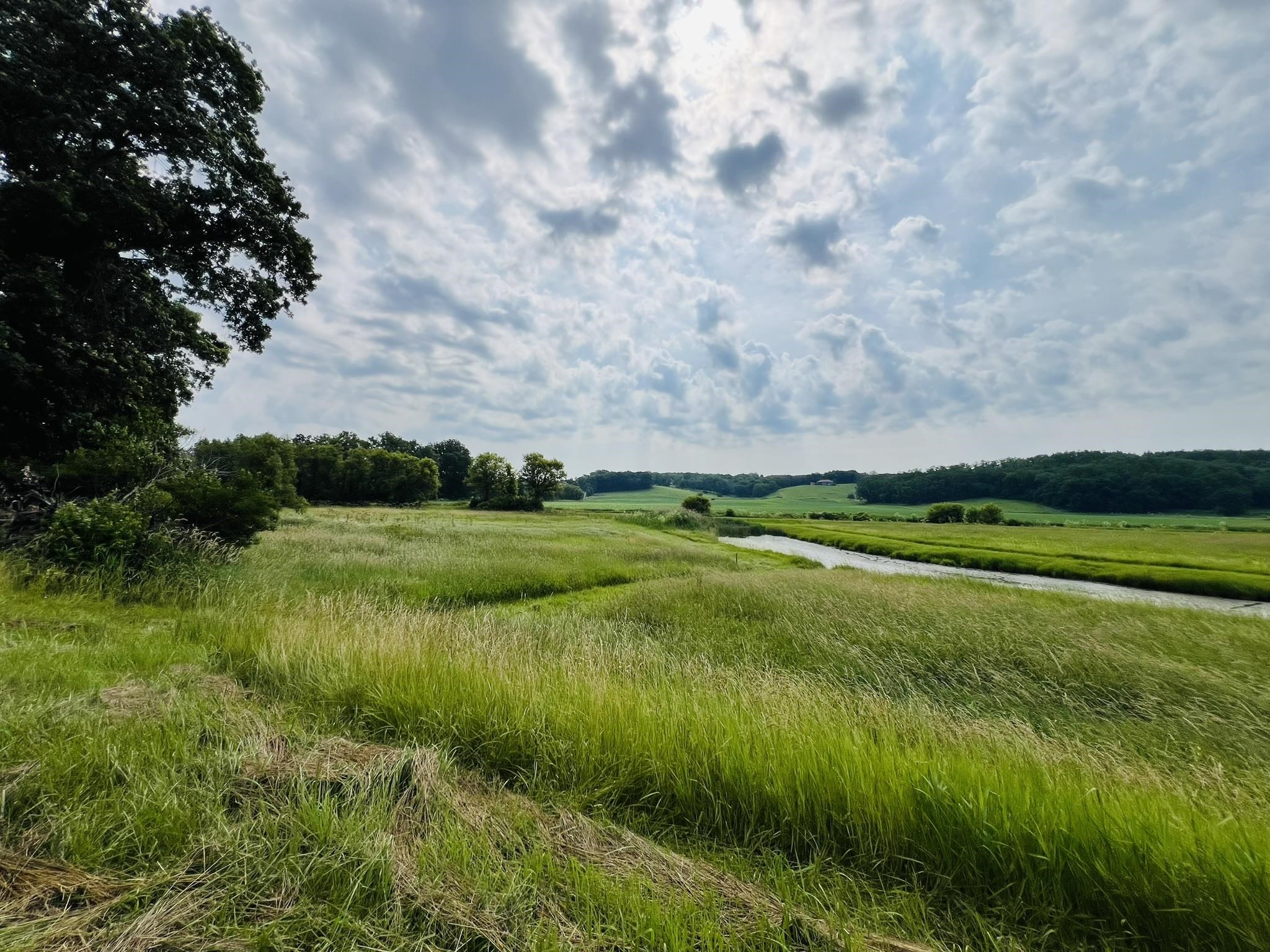 16025 Il Rt 78 Mount Mount Carroll, IL 61053 - Photo 10 of 20