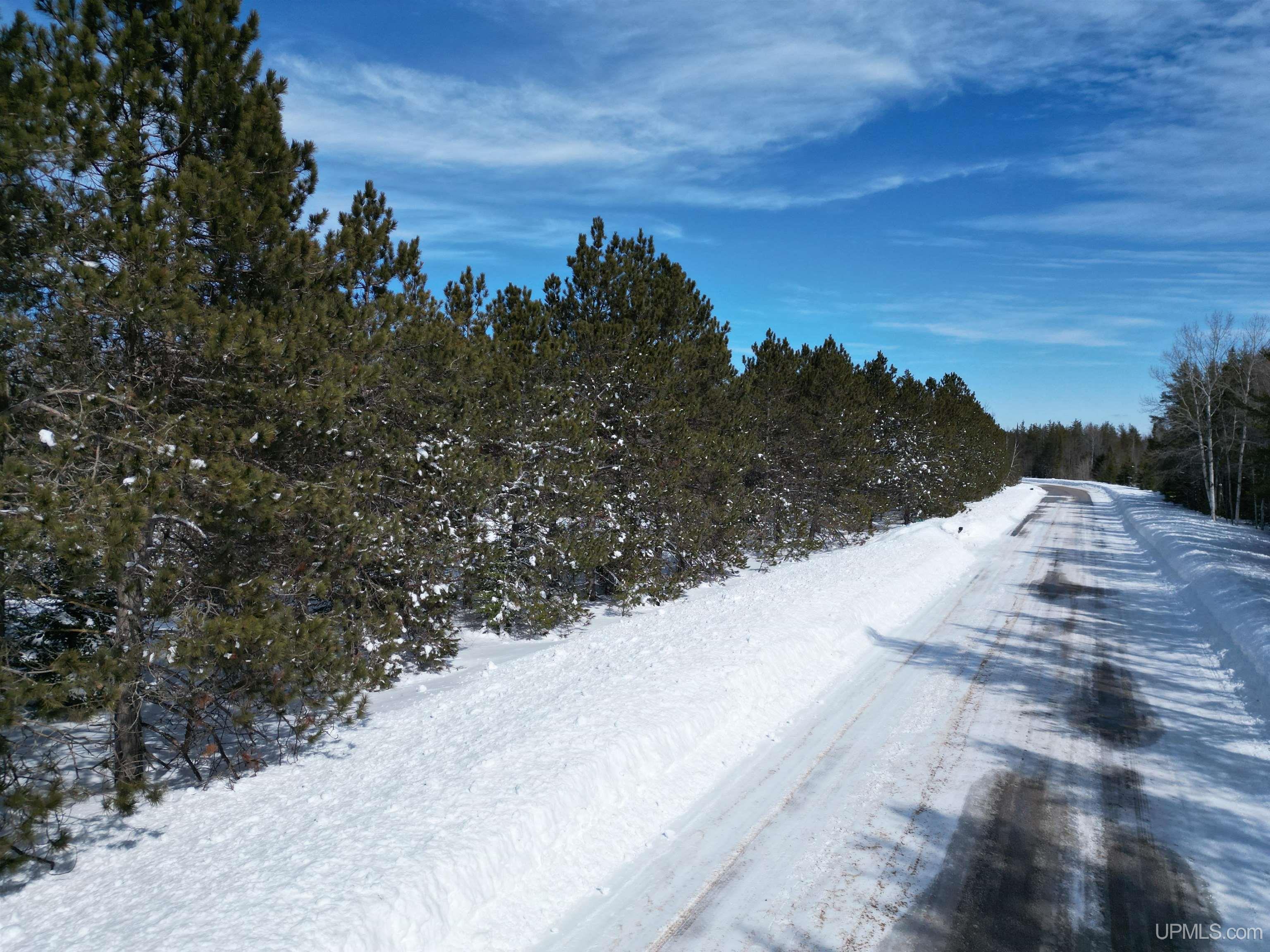 Tbd West Smith Lake Road Manistique, MI 49854 - Photo 5 of 20