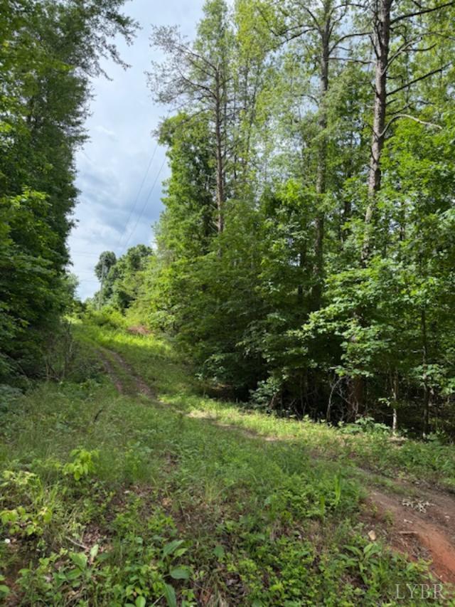 0 East Pamplin Road Pamplin, VA 23958 - Photo 3 of 11