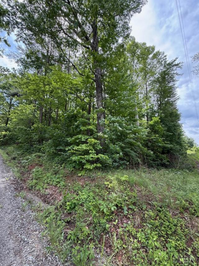 0 East Pamplin Road Pamplin, VA 23958 - Photo 8 of 11