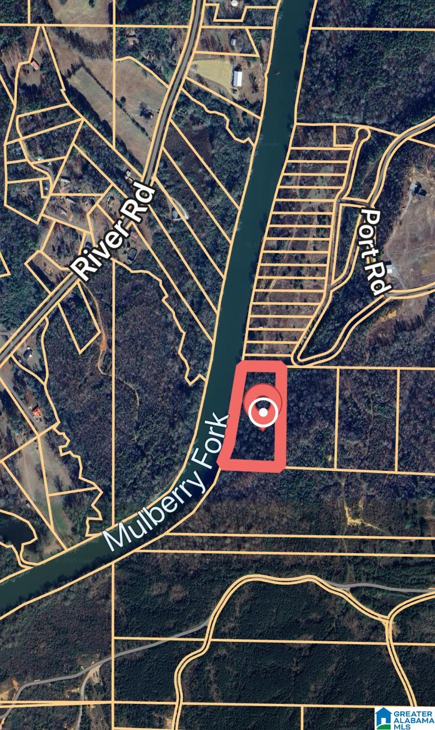 0 Mt View Road, Unit TBD Cordova, AL 35550 - Photo 2 of 2