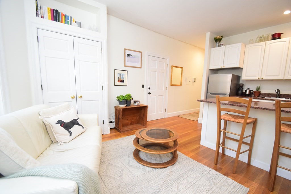 20 Concord Square, Unit 2 Boston, MA 02118 - Photo 5 of 16 a living room with furniture and a potted plant