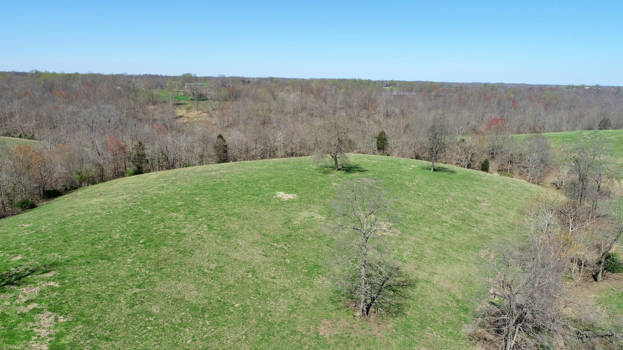16 Galen Road Lafayette, TN 37083 - Photo 15 of 18 a view of a backyard with green space