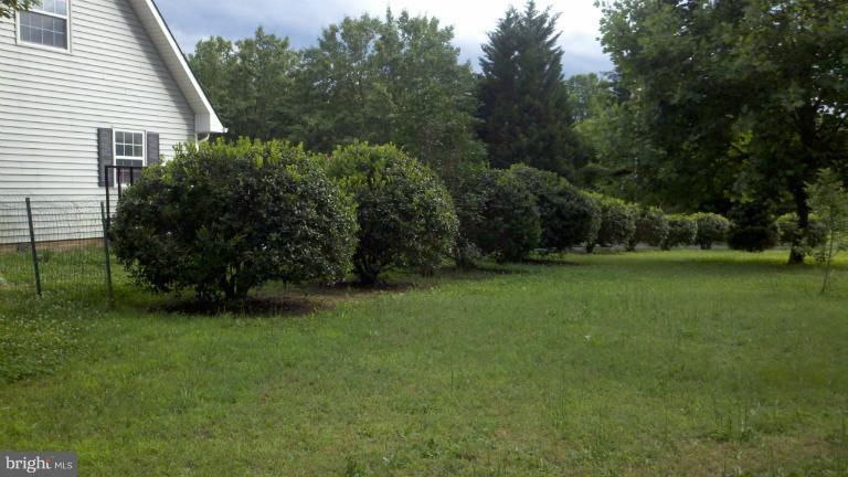 8185 Tate Road Ruther Glen, VA 22546 - Photo 12 of 30 Exterior (General)