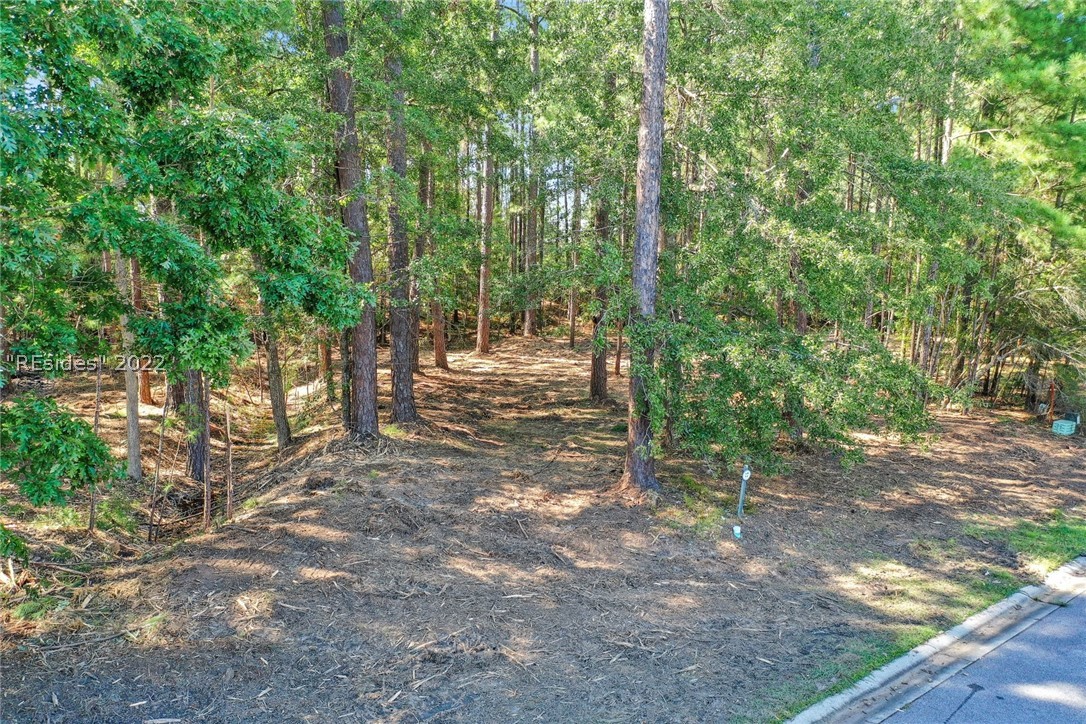 8 Dory Court Bluffton, SC 29909 - Photo 1 of 1