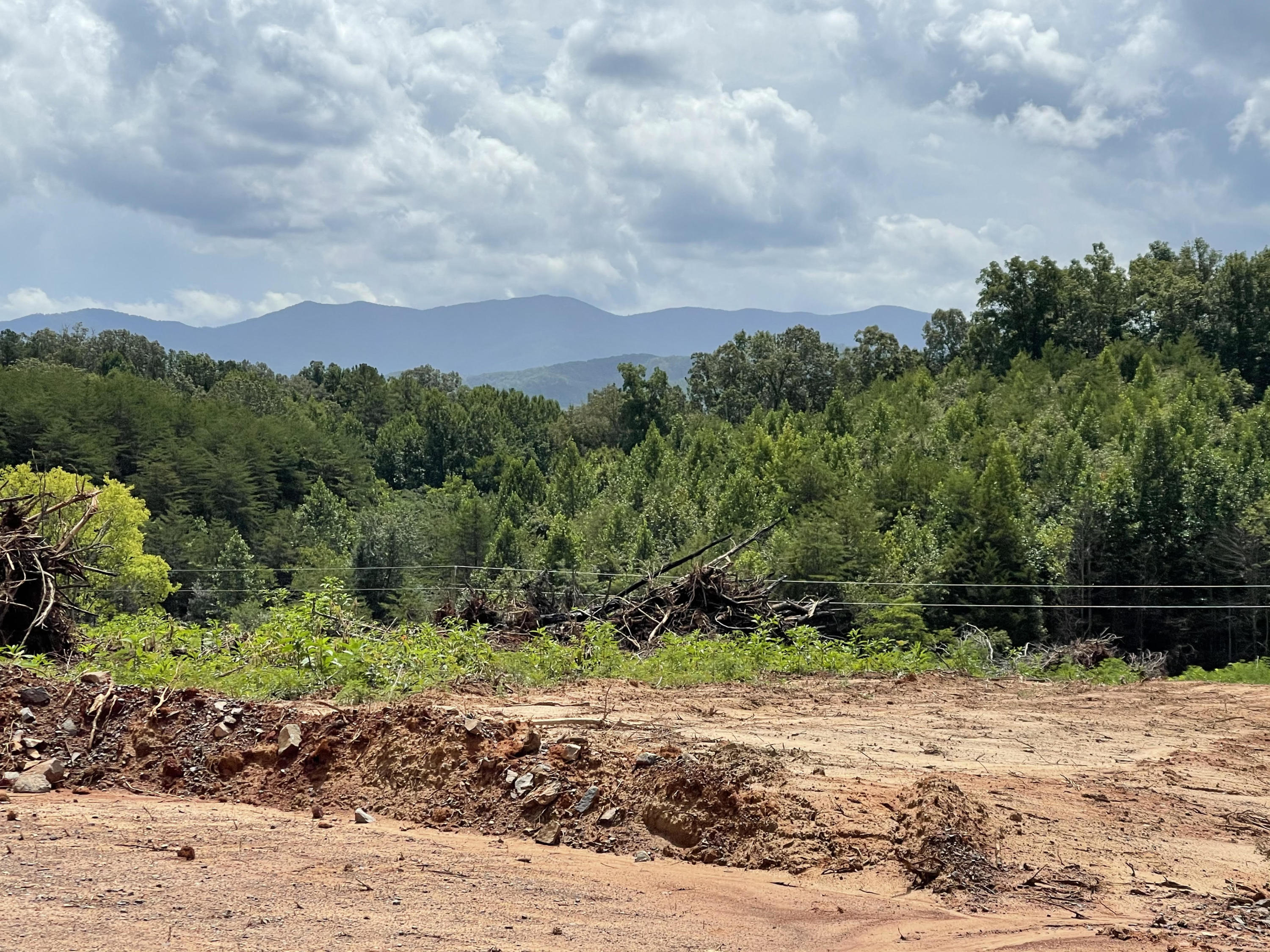 Curtis Road Tellico Plains, TN 37385 - Photo 1 of 5 1