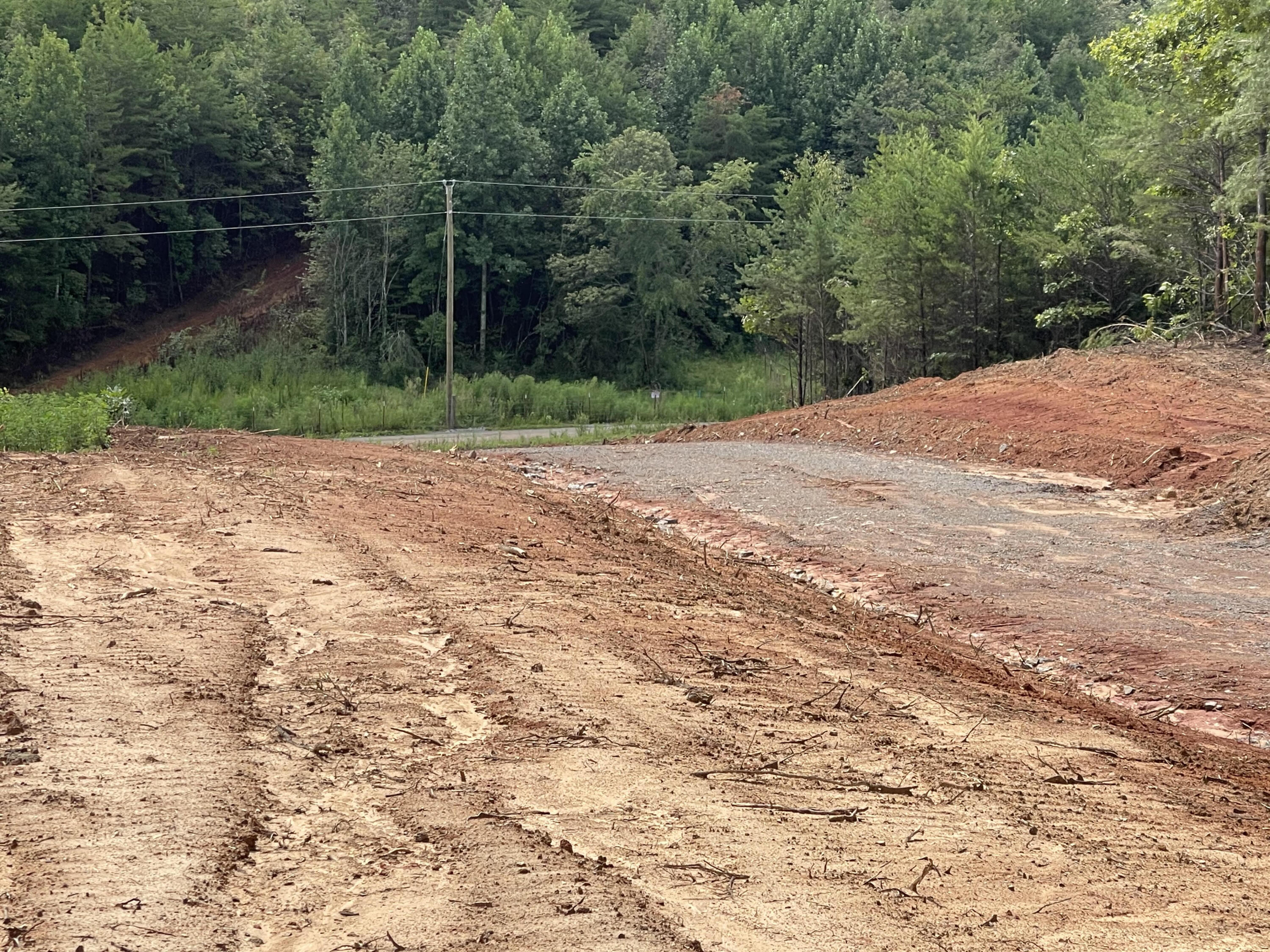 Curtis Road Tellico Plains, TN 37385 - Photo 4 of 5 4