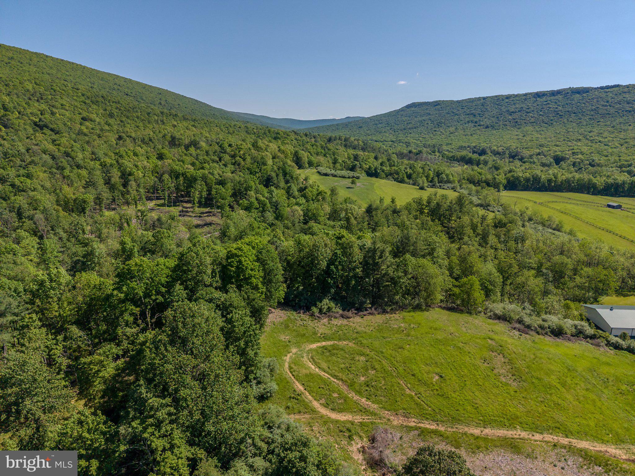 4503 Scotch Valley Road Hollidaysburg, PA 16648 - Photo 30 of 85