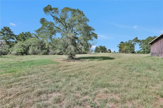 a view of a field with trees