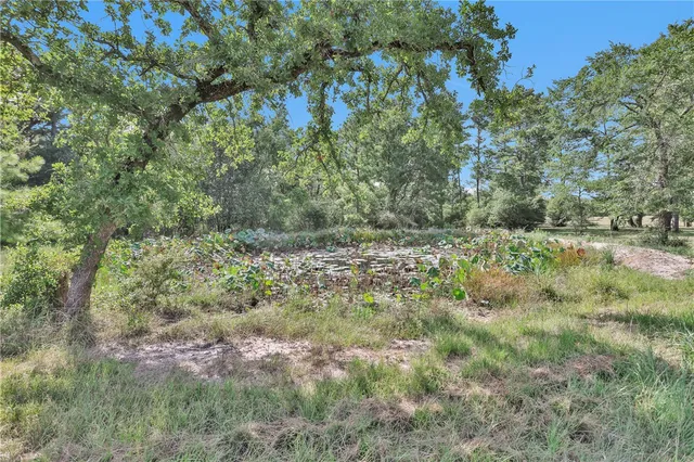 an aerial view of a residential houses with outdoor space and lake view