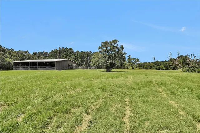 a big yard with lots of green space and trees