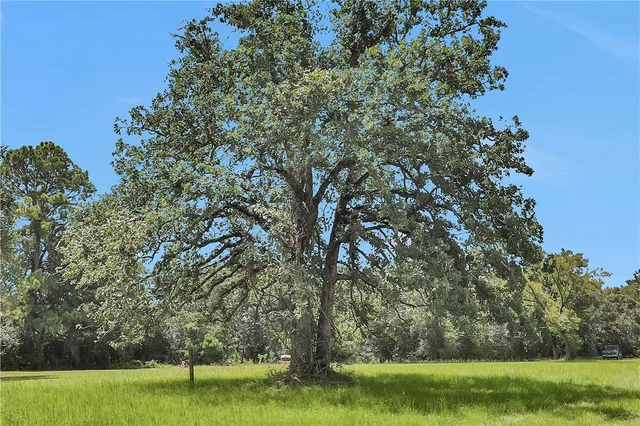 $895,000 | 15487 County Road 228, Bedias, TX 77831