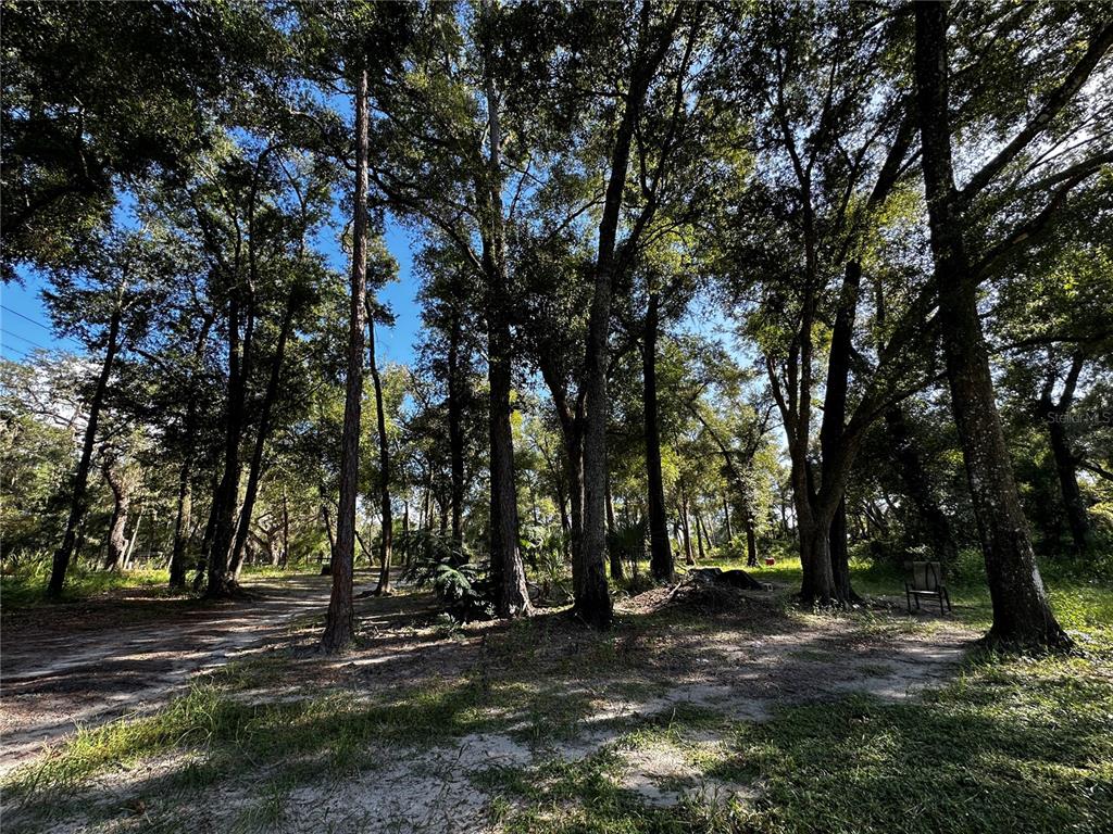 418 North Pine Street Bronson, FL 32621 - Photo 46 of 61 Gallery Image 46