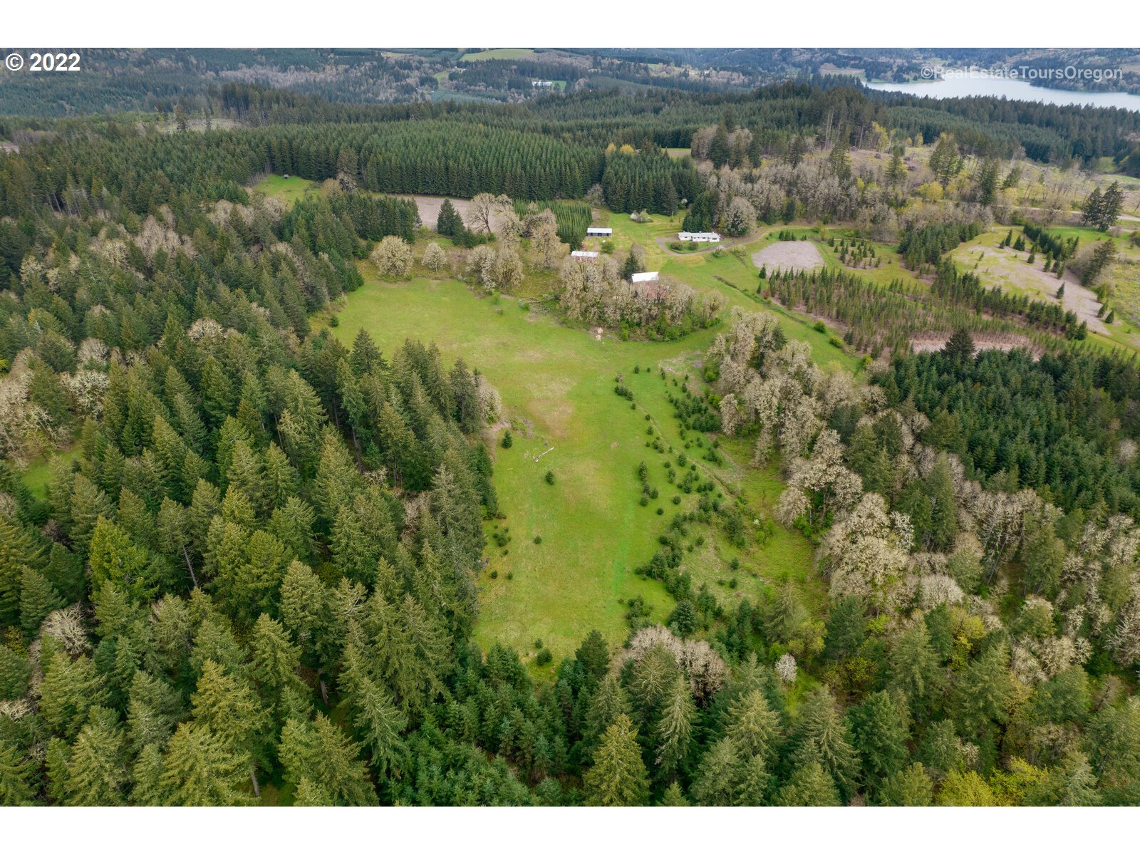 54795 Southwest Roberts School Road Gaston, OR 97119 - Photo 24 of 32 a view of a lake with a lush green forest
