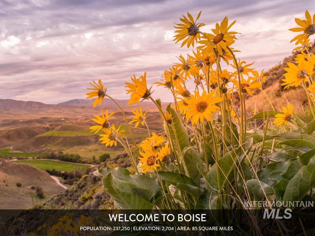 4350 South Redhawk Way Boise, ID 83716 - Photo 42 of 50