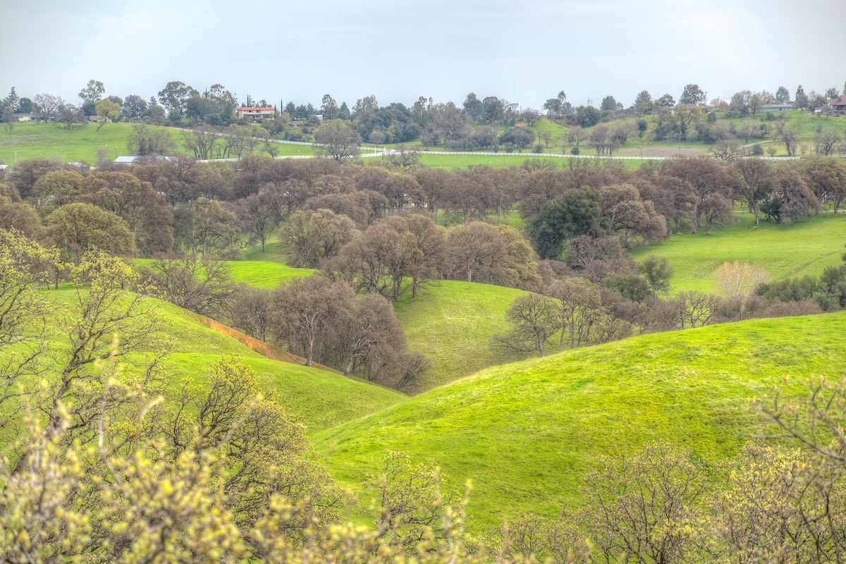 19365 Macho Road Red Bluff, CA 96080 - Photo 31 of 32
