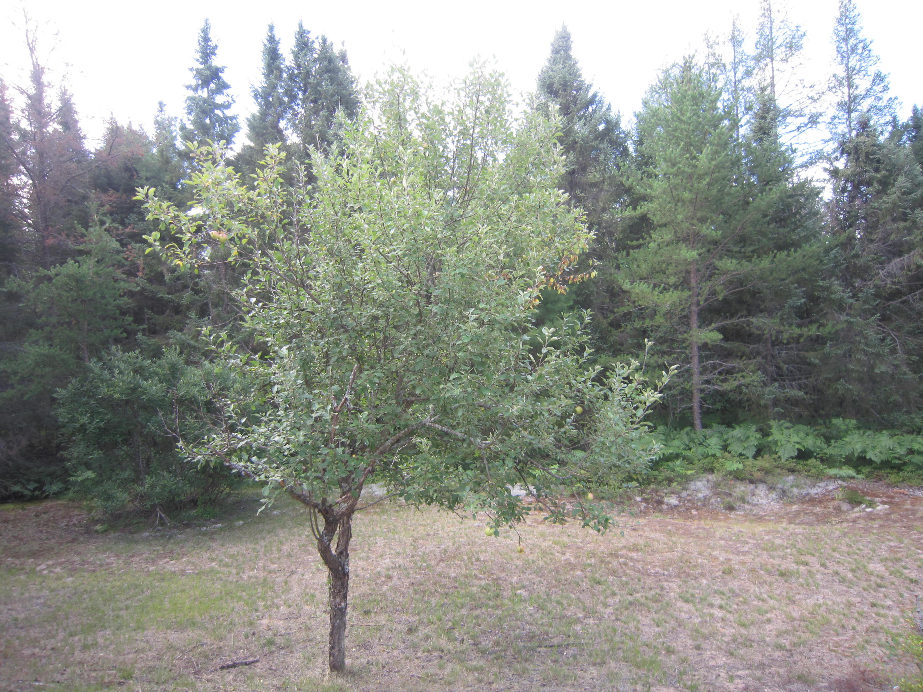 12280 Sunken Lake Road Seney, MI 49883 - Photo 14 of 16 Gallery Image 14