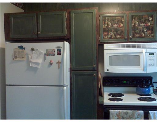 437 Amsler Ridge Road Economy, PA 15143 - Photo 3 of 4 Kitchen.