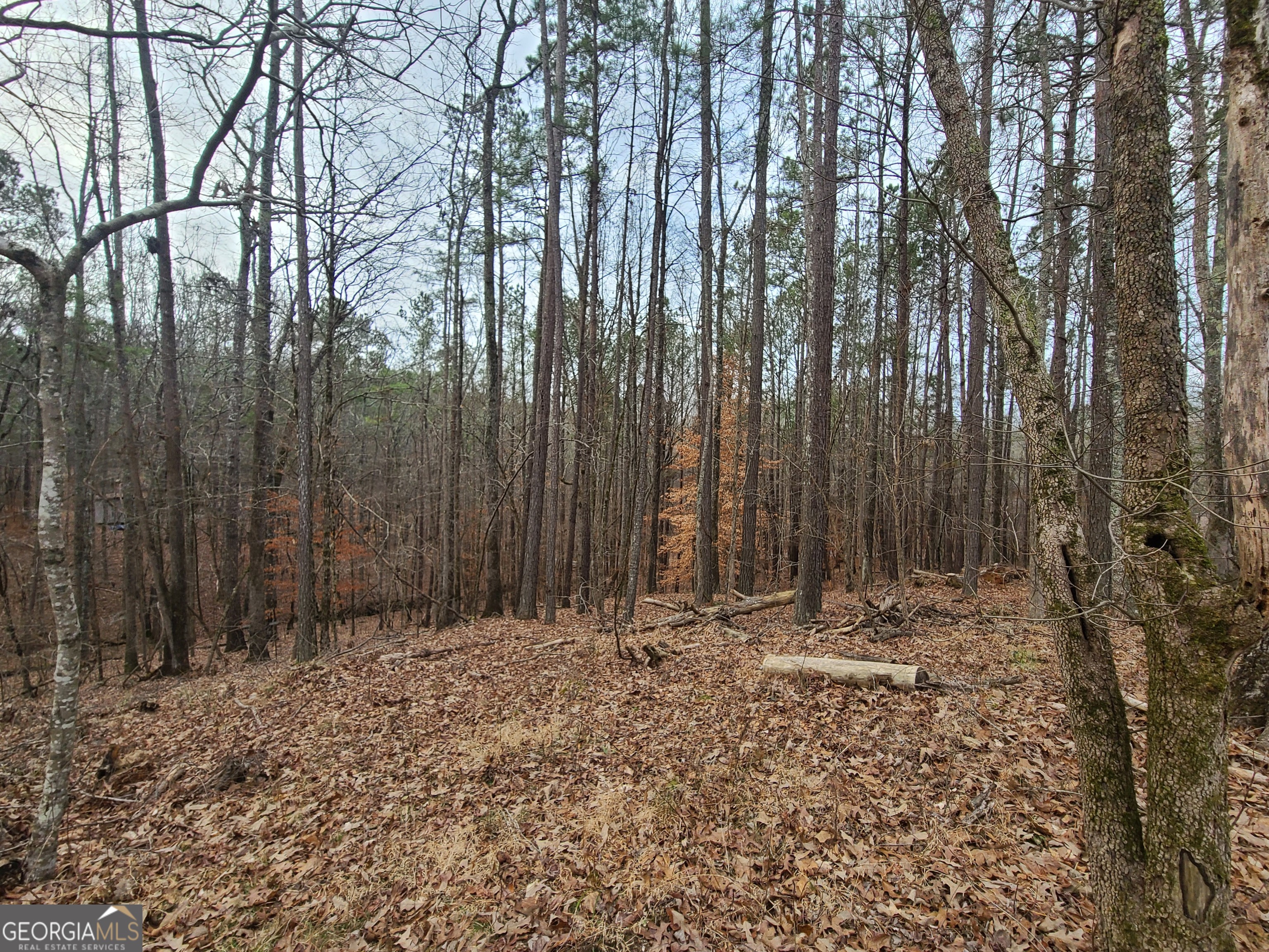 a view of wooden fence with trees
