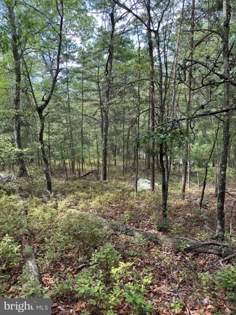 $59,900 | 6-ac Mountain Acres Loop, Moorefield, WV 26836