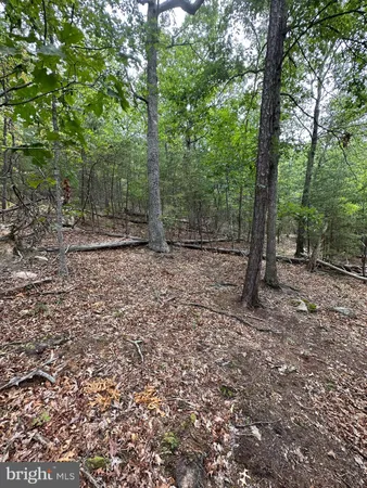 $59,900 | 6-ac Mountain Acres Loop, Moorefield, WV 26836