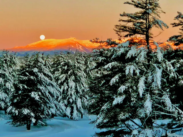 $998,000 | 103 Foxfire Lane, Stowe, VT 05672