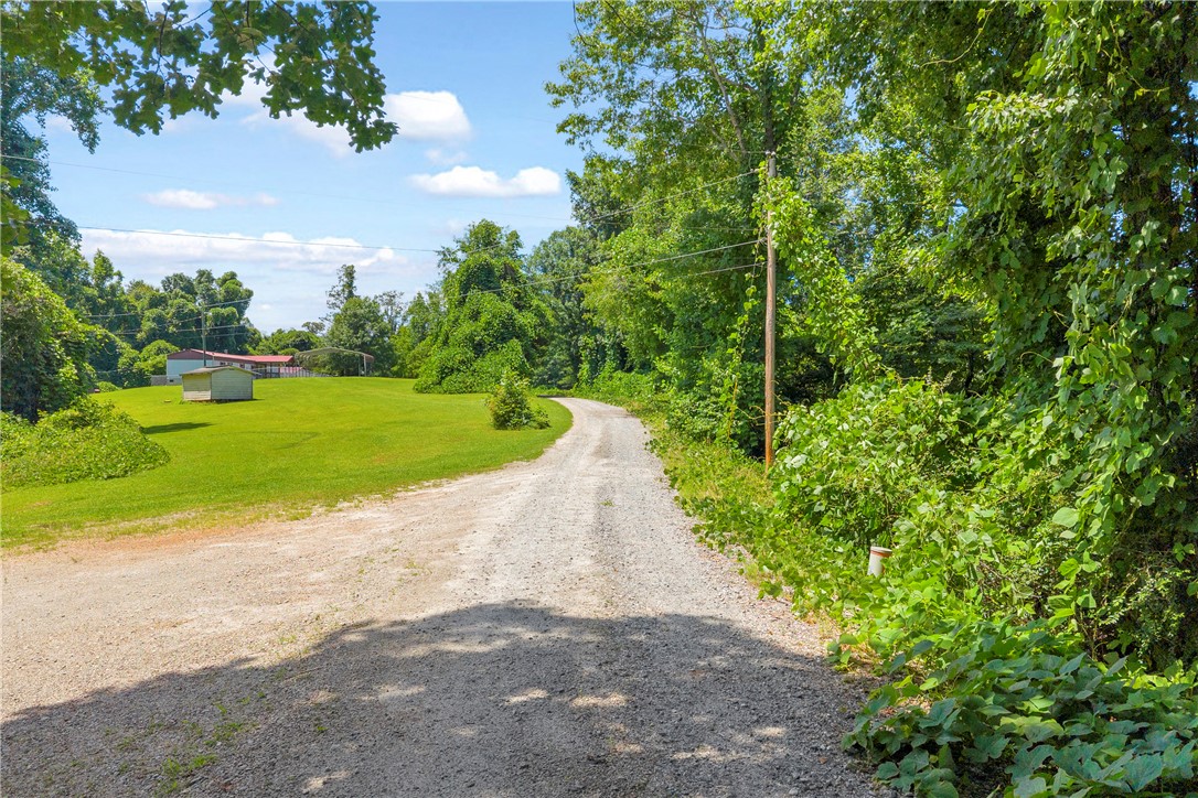 952 Stephens Drive Westminster, SC 29693 - Photo 8 of 50 Gravel road front of house.