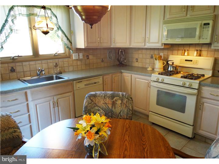 1256 Beverly Road Warminster, PA 18974 - Photo 6 of 23 Kitchen