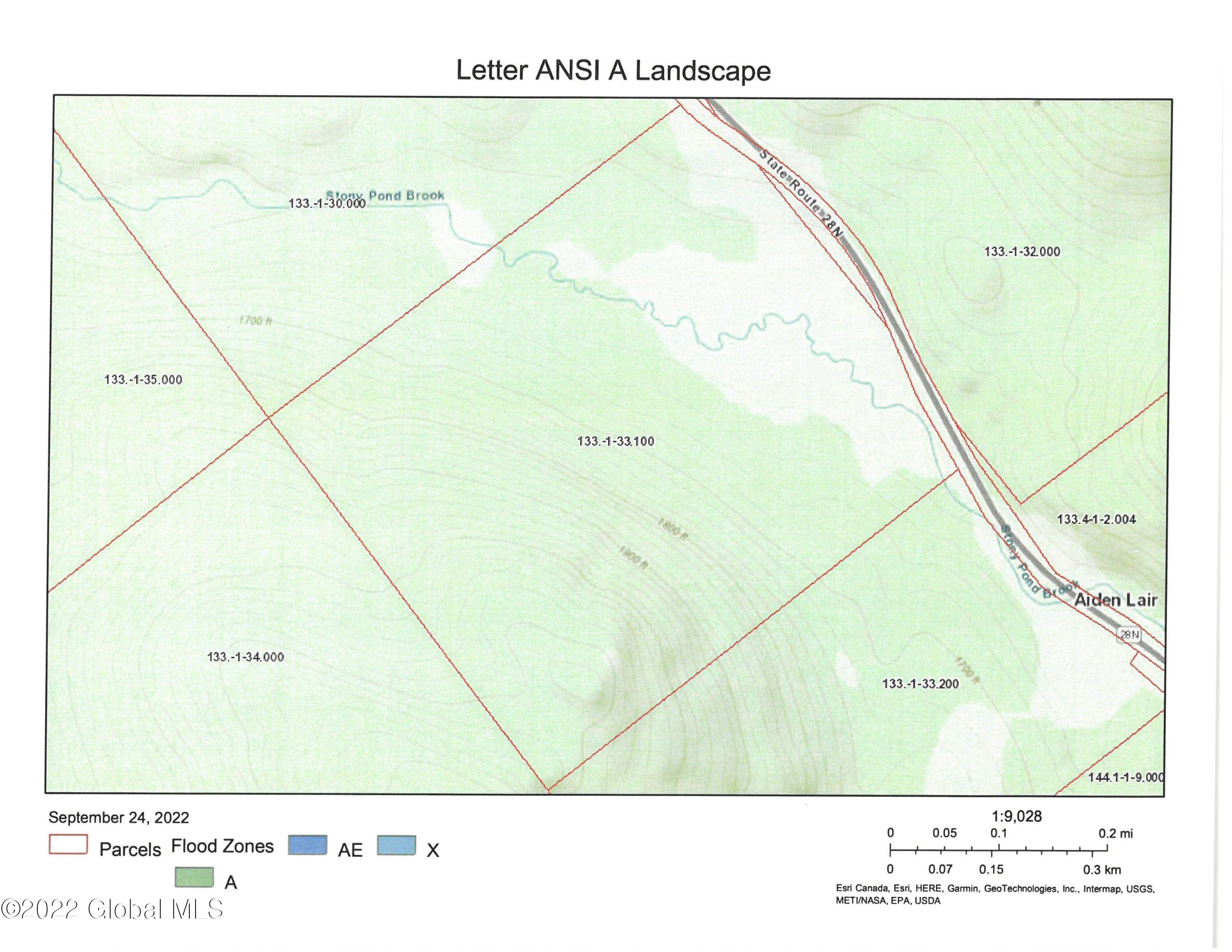 0 Rt 28n Minerva, NY 12851 - Photo 6 of 7 Loveland Tax Map