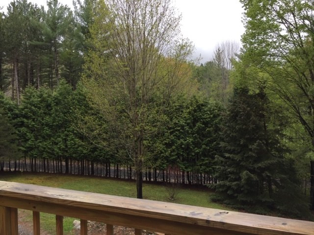 29 Pine Ridge Road Upper Jay, NY 12987 - Photo 27 of 32 Gallery Image 27