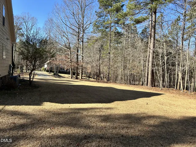 a view of street with large trees