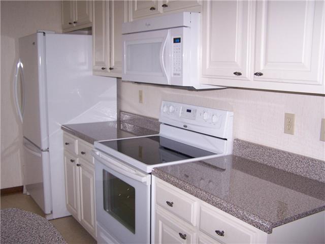 115 Scott Road Pulaski, TN 38478 - Photo 8 of 20 Gallery Image 8