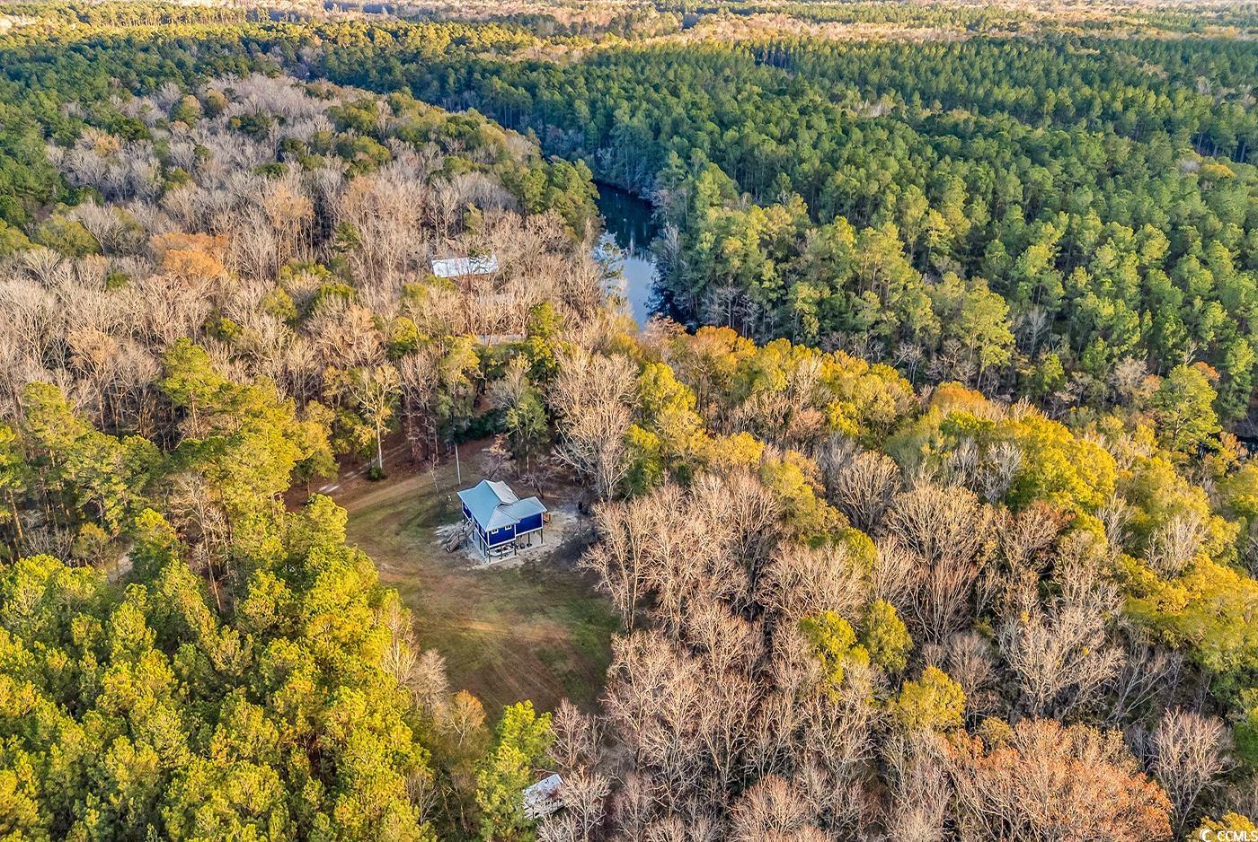 32 Old Place Kingstree, SC 29556 - Photo 26 of 40 Aerial view of a forest